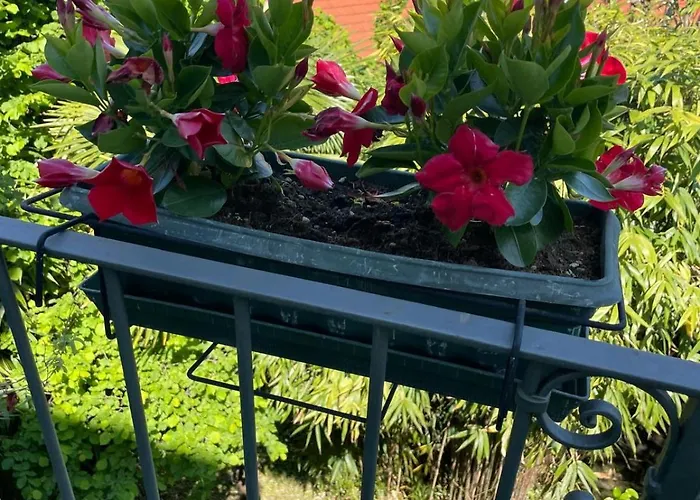 Lejlighed Casa Monika